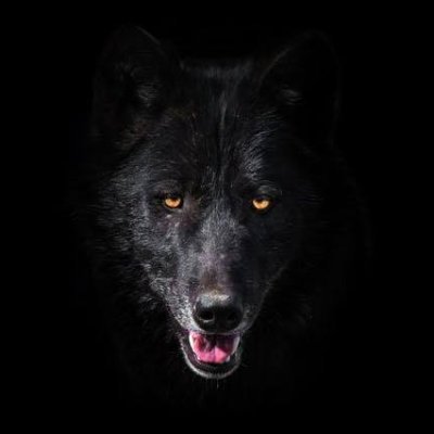 Драган Вукадиновић's profile picture