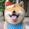 Фото профиля Shuihuo🧡