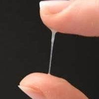 bokulsoju's profile picture