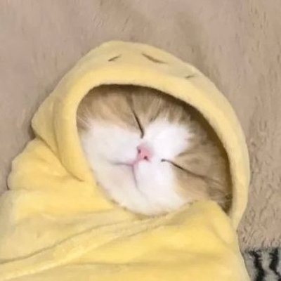 TruecelOldhead's profile picture