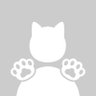 𝑝𝑝 profil fotoğrafı
