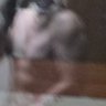 Gym newbel's profile picture