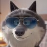 Profilbild von Jilo