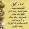 Фото профиля alhpap apnmnthr