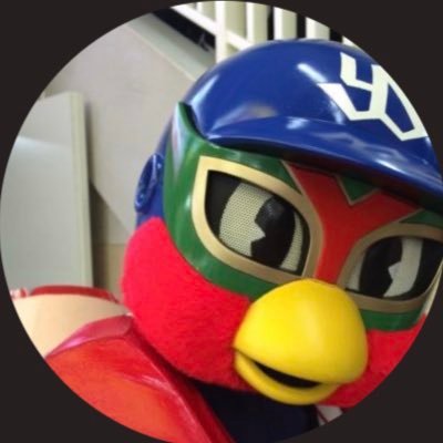 ryoheiswallows's profile picture
