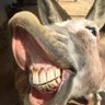Profilbild von pussy boy