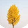Фото профиля 산골중년