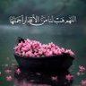 Jannat Heaven profil fotoğrafı