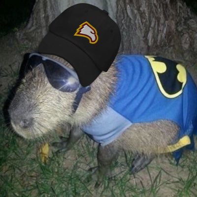 slowiscool's profile picture