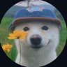 Profilbild von PSA