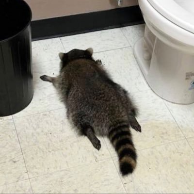 tastiburger's profile picture