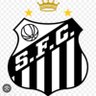 Carlosalmeida profil fotoğrafı