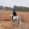 Southern Lady Speaks 的头像