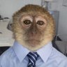 Gary Pathardt profil fotoğrafı