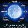 Mohamde Oukkane's profile picture
