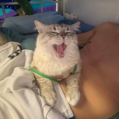乌萨奇偷吃前女友骨灰被现任老公打's profile picture