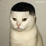 Фото профиля Yuto
