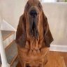 Dude profil fotoğrafı