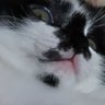 E-Min's profile picture