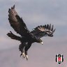 Onur profil fotoğrafı