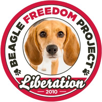 Beagle Freedom Project's profile picture