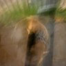 Profilbild von M