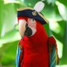 Admiral Beakington profil fotoğrafı