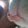 Profilbild von Hide