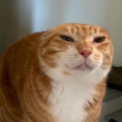 pin's profile picture
