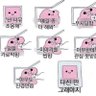 Profilbild von 전세계사기꾼들만골라신고하고싶은사람