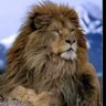 Profilbild von حسام الفضلي