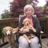 Sandy Glass's profile picture
