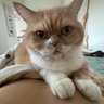 LH's profile picture