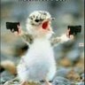 I’mprobdoin’itwrong profil fotoğrafı