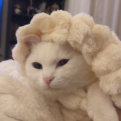 Waad's profile picture