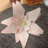 Фото профиля ラブピ