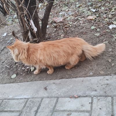 m7375676353029's profile picture