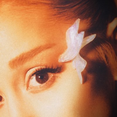 darianabrande's profile picture