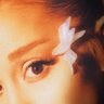 darianabrande ꕤ 的头像