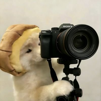 ZZZZ97979797's profile picture