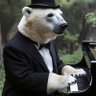 𝒴𝓊𝓎𝒶 𝒦𝒶𝓌𝒶𝒷𝒶𝓉𝒶🎹🐻❄️'s profile picture