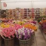 Фото профиля الشاعر