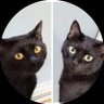 🐾かまぼこ🐈⬛🐕️ 的头像