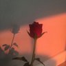 Фото профиля Sean D