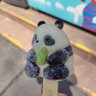 Profilbild von 日中混血🇯🇵🇨🇳