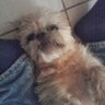 JJ1988's profile picture