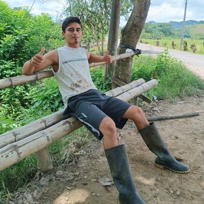 El firgense's profile picture