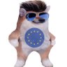 Fo Shur Fella🍿🇪🇺💙🇺🇦 and 997 otters 🦦 profil fotoğrafı