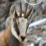 🇨🇵 Mathieu O'HARE 🇨🇵 profil fotoğrafı