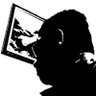 MSV's profile picture